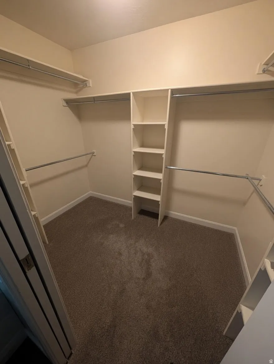 Walk-in closet featuring built-in shelving, multiple hanging rods, and neutral-toned carpeting