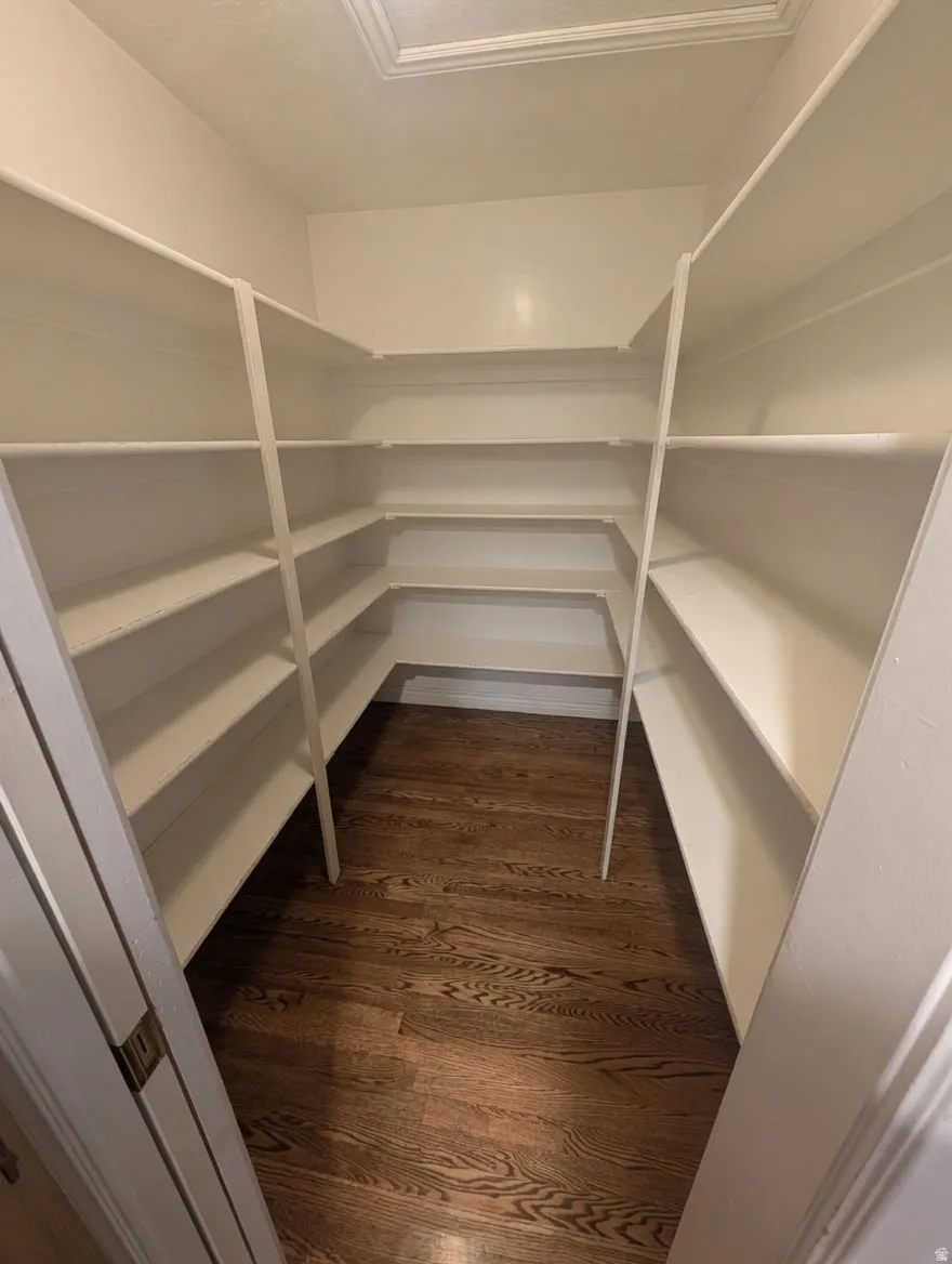 Spacious walk-in pantry featuring extensive white shelving, dark wood-finish flooring, and a ceiling-mounted light fixture