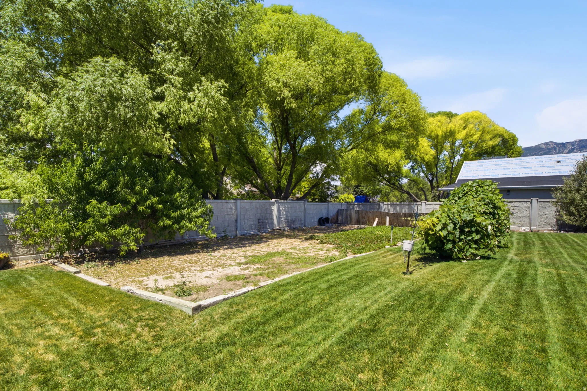 Yard - garden area