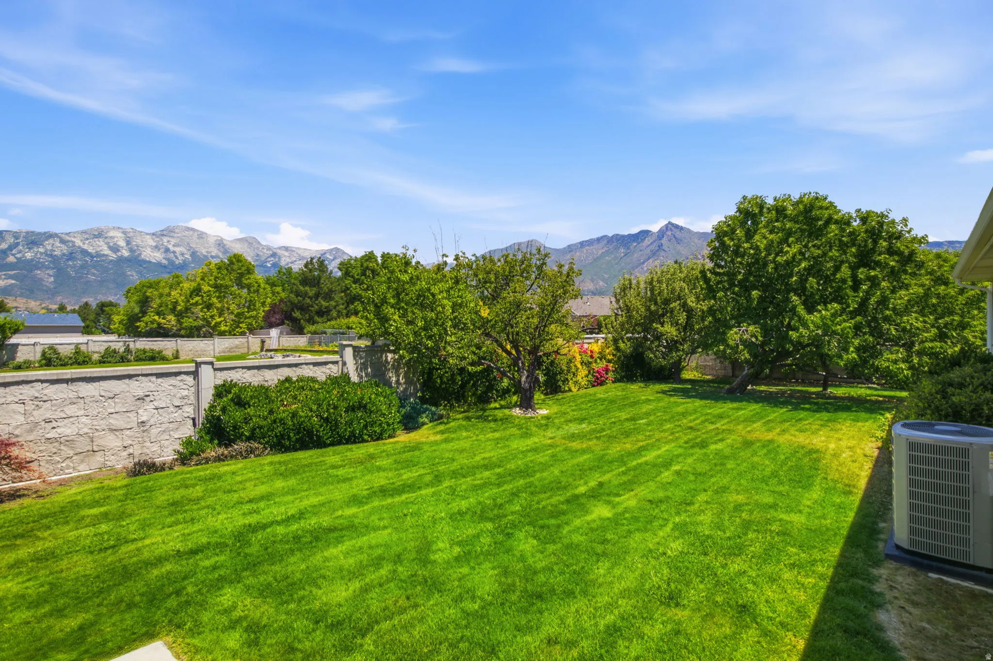 Expansive backyard featuring a large green lawn, mature trees, and a concrete retaining wall