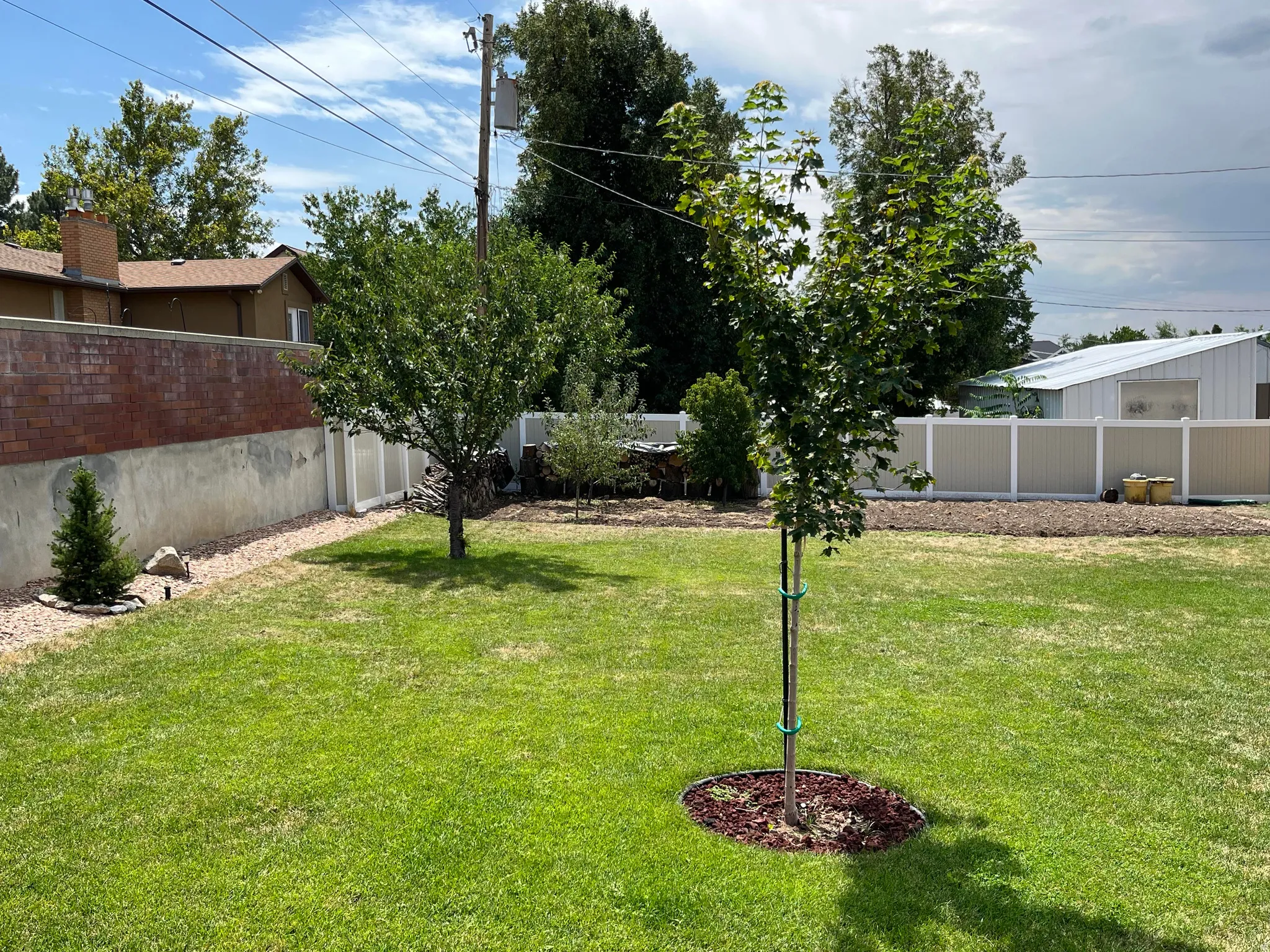 Expansive grassy lawn with established fruit trees and decorative gravel borders