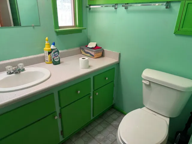 Bathroom featuring a white toilet, an integrated sink with a two-handle faucet, a vanity with green cabinetry, and a window with green trim