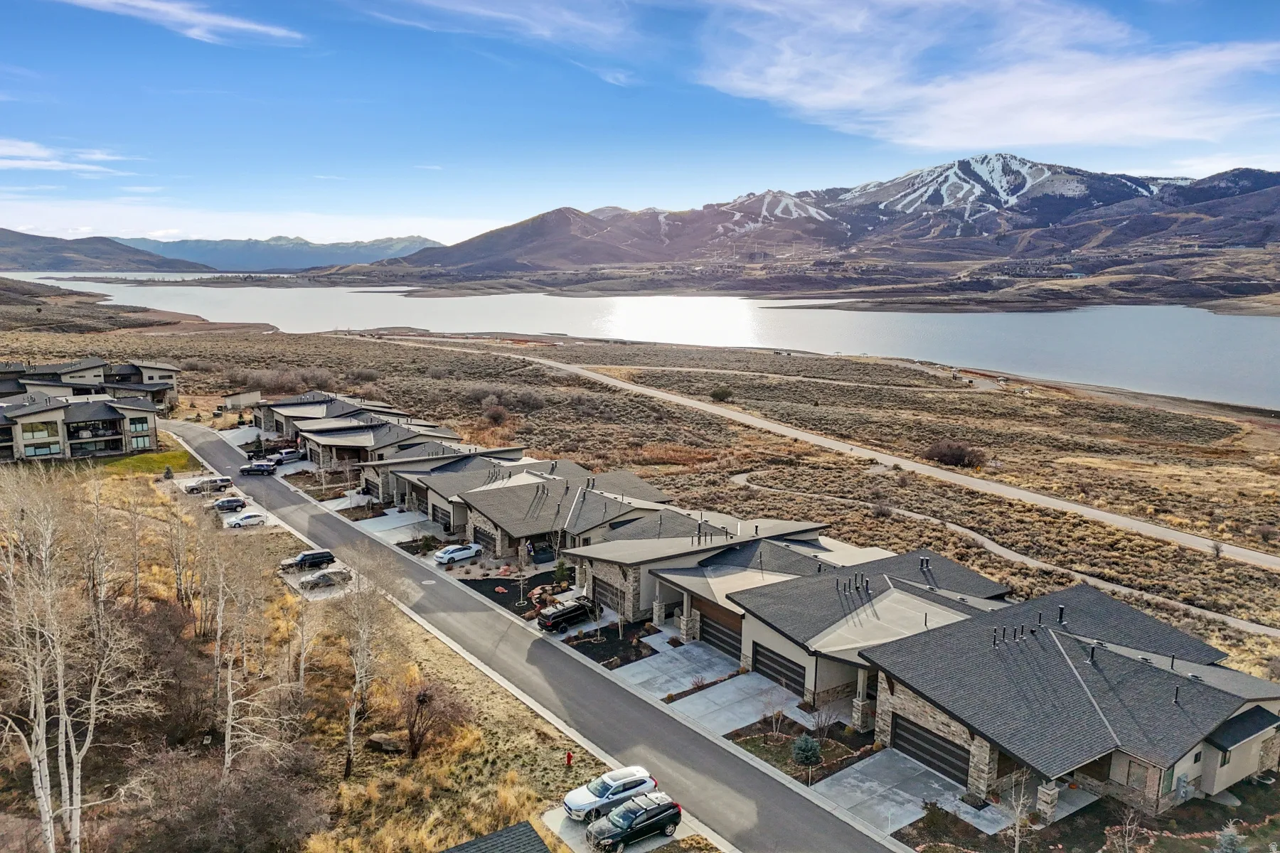 Residential community featuring modern architectural styles and attached garages
