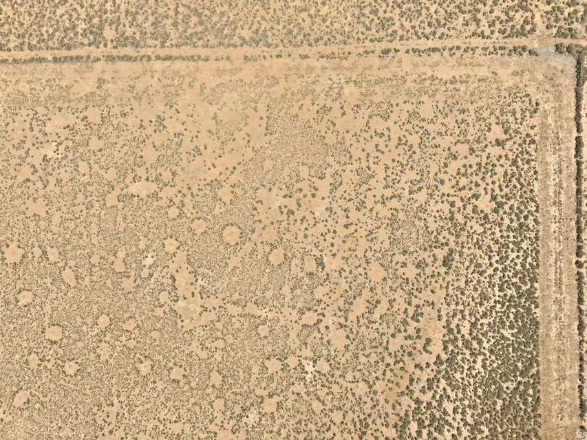 Expansive aerial view of undeveloped land with natural vegetation and visible perimeter lines