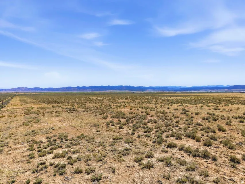 Expansive open land featuring natural vegetation and distant mountain ranges under a clear sky