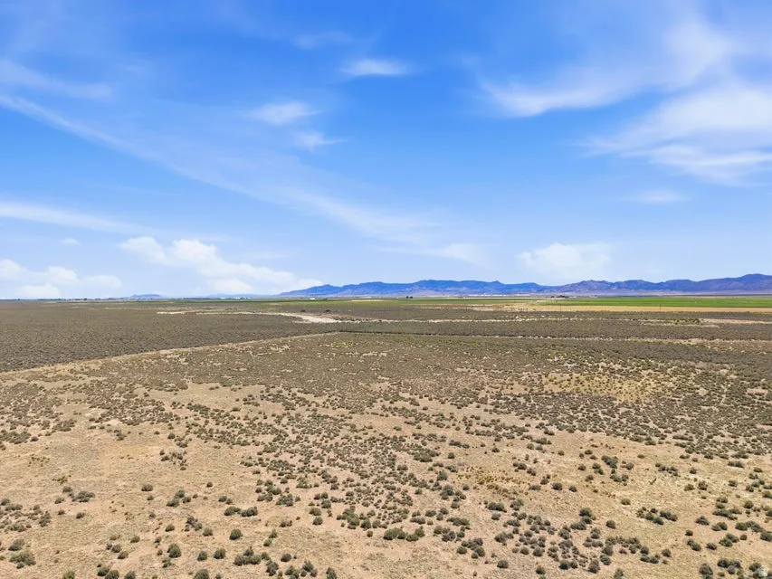 Expansive open land featuring natural desert vegetation