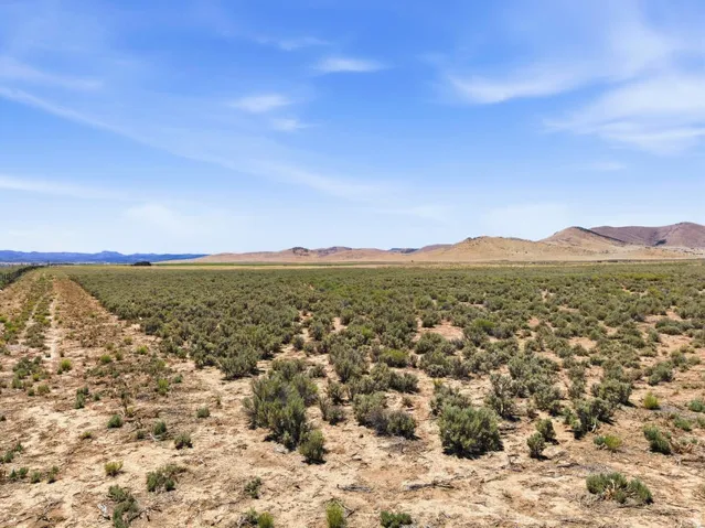 Expansive arid landscape featuring scattered green shrubbery and distant rolling hills