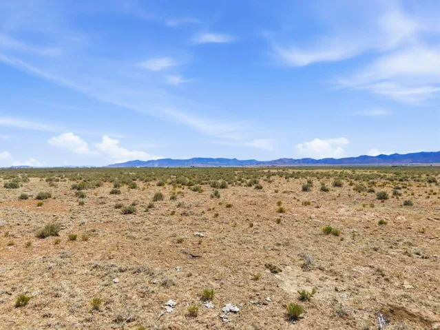 Expansive desert landscape featuring natural brush, arid ground cover, and distant mountain ranges under a clear sky