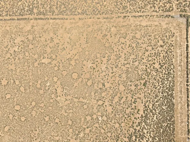 Expansive aerial view of undeveloped land with natural vegetation and visible perimeter lines