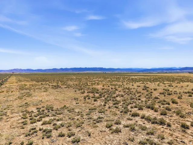 Expansive open land featuring natural vegetation and distant mountain ranges under a clear sky