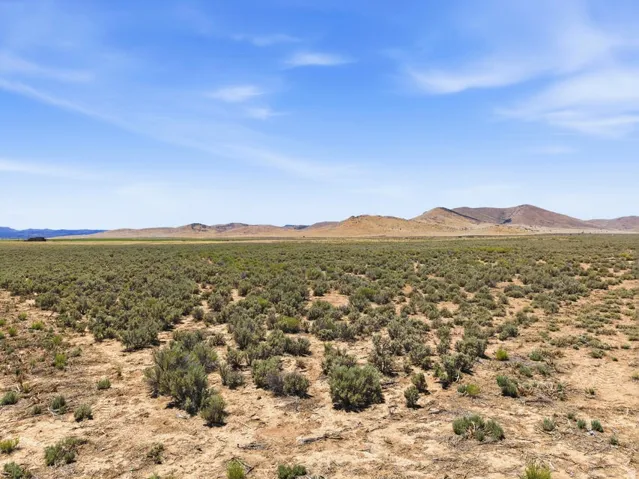 Expansive arid landscape featuring natural vegetation and distant mountains under a clear sky