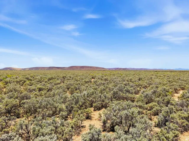 Expansive desert landscape featuring extensive scrub brush and distant rolling hills under a bright blue sky