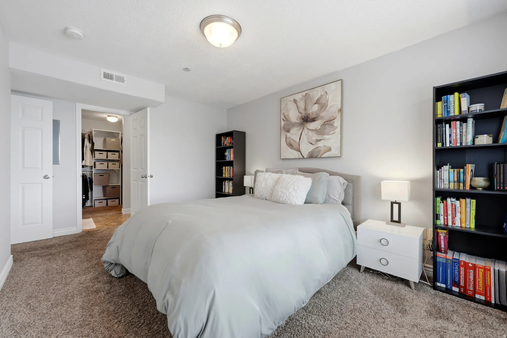 Carpeted room featuring a built-in closet with double white panel doors and an interior lighting fixture