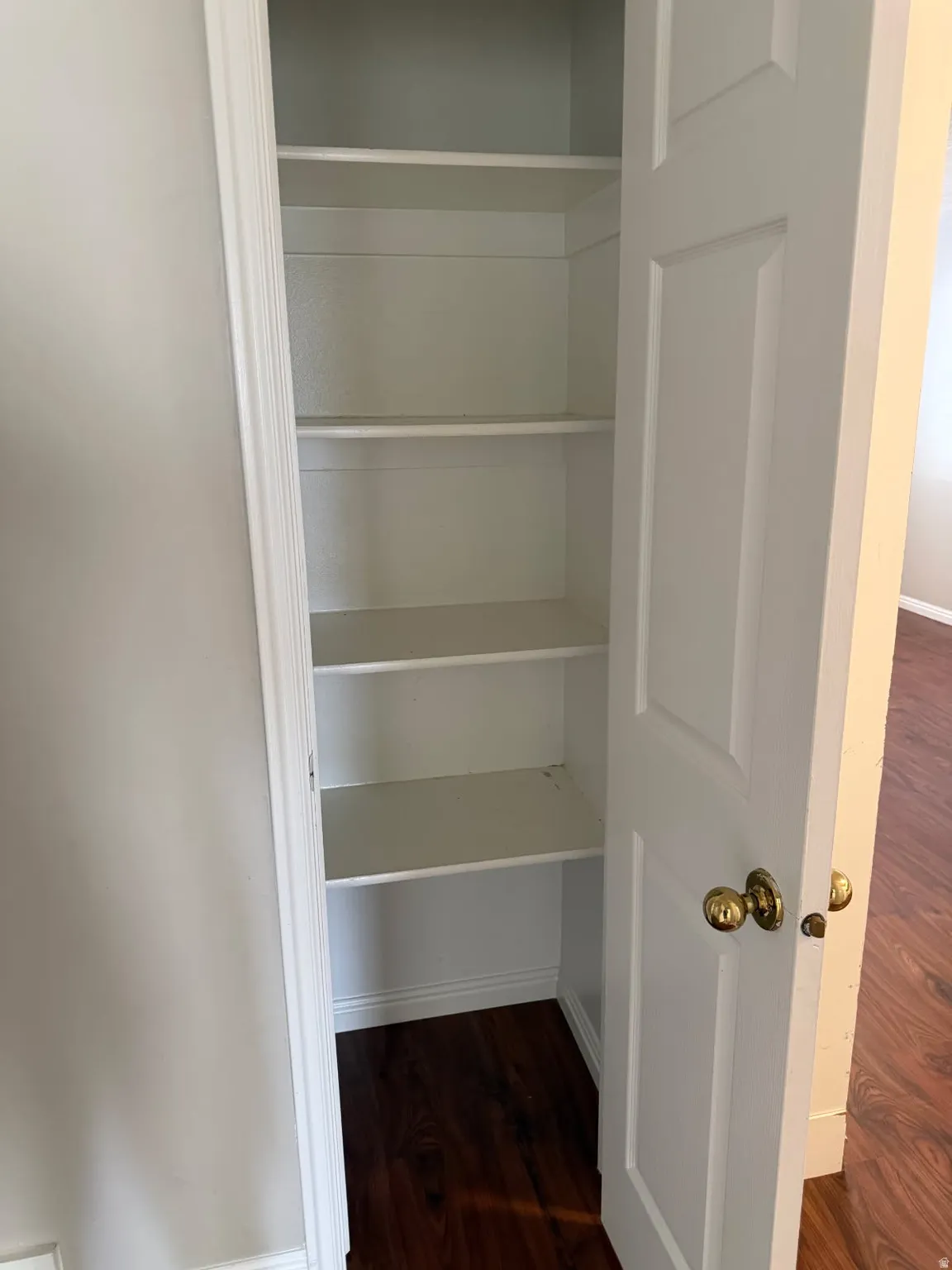 Built-in storage closet featuring multiple white shelving units, a white paneled door with brass-tone hardware, and dark wood-finish flooring