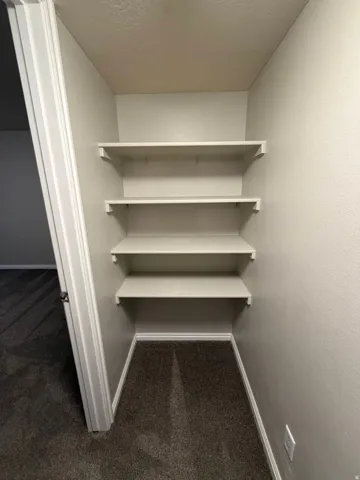 Recessed storage area featuring four built-in shelves, textured walls, and dark gray carpeting