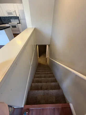 Carpeted staircase with a white handrail descending to a lower level