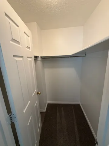 Walk-in closet featuring white paneled door, gold-tone hardware, textured ceiling, light-colored walls, and dark carpeting