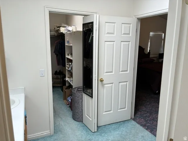 Walk-in closet featuring light blue carpeting and ample storage shelving