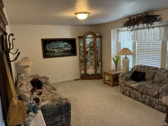 Carpeted interior space featuring a large window with horizontal blinds, a ceiling-mounted light fixture, and a built-in display cabinet with glass doors
