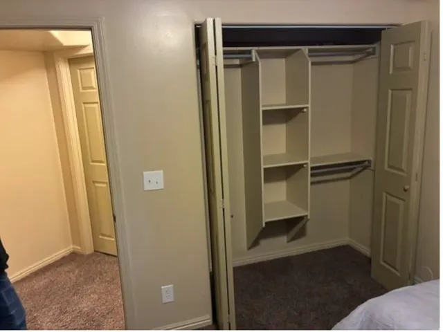Built-in closet shelving, double closet rods, neutral wall color, and textured carpeting