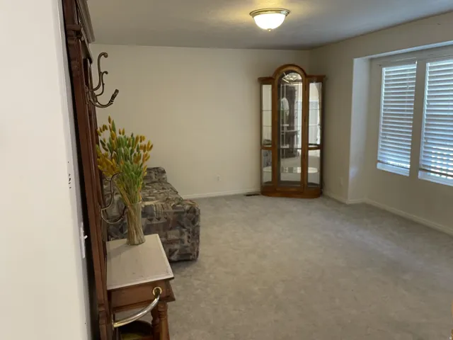 Light-toned carpeting, neutral wall finishes, and a single ceiling-mounted light fixture