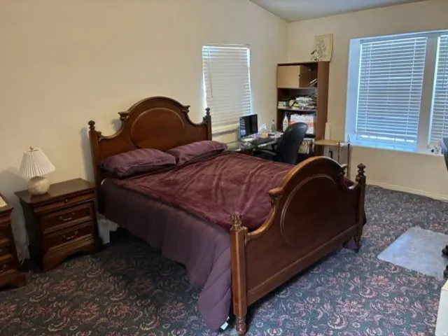 Wall-to-wall patterned carpeting, neutral wall paint, and multiple windows with blinds