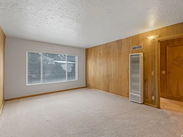 Spacious room featuring light-colored carpet flooring, a large multi-pane window, and a wood panel accent wall