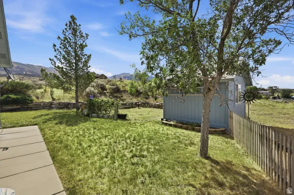 Expansive backyard featuring a manicured lawn, established trees, and a detached shed with a window