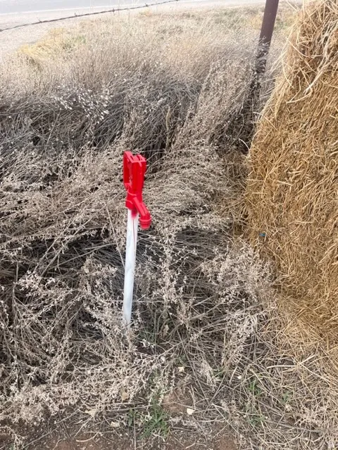 Outdoor spigot featuring a bright red handle