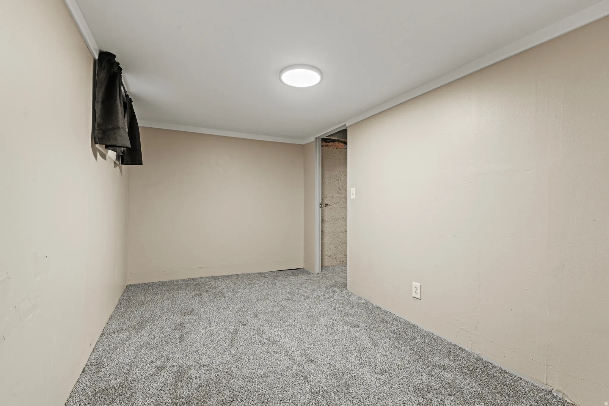 Neutral-toned interior room featuring light gray carpeting and white crown molding