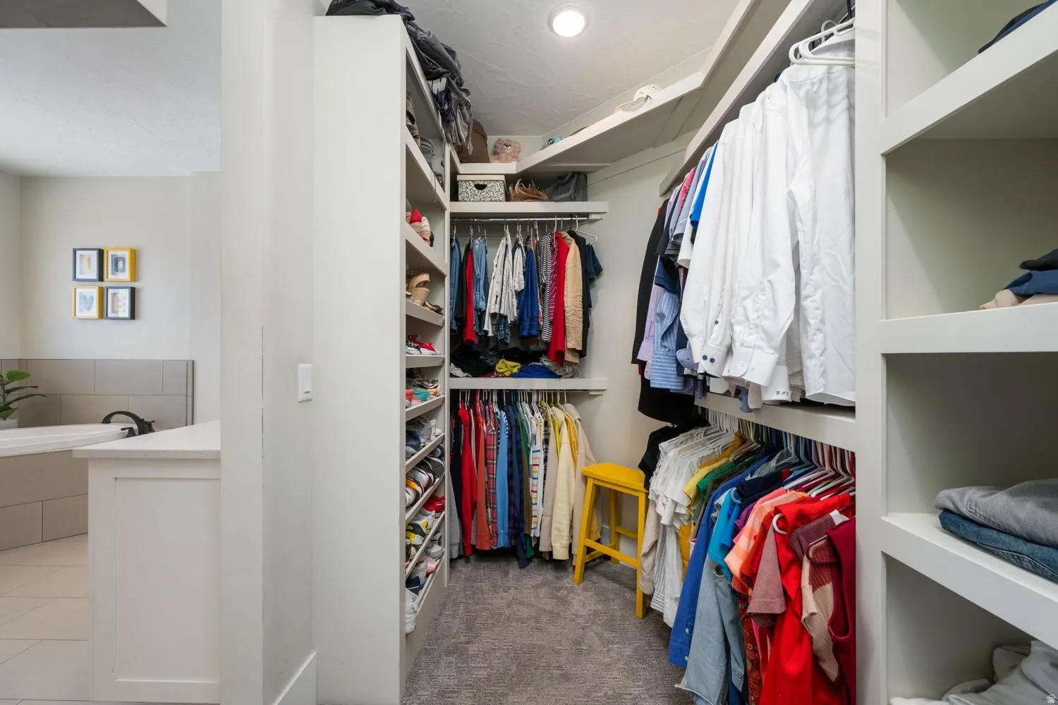 Expansive walk-in closet featuring extensive built-in shelving, multiple hanging rods, and plush carpet flooring