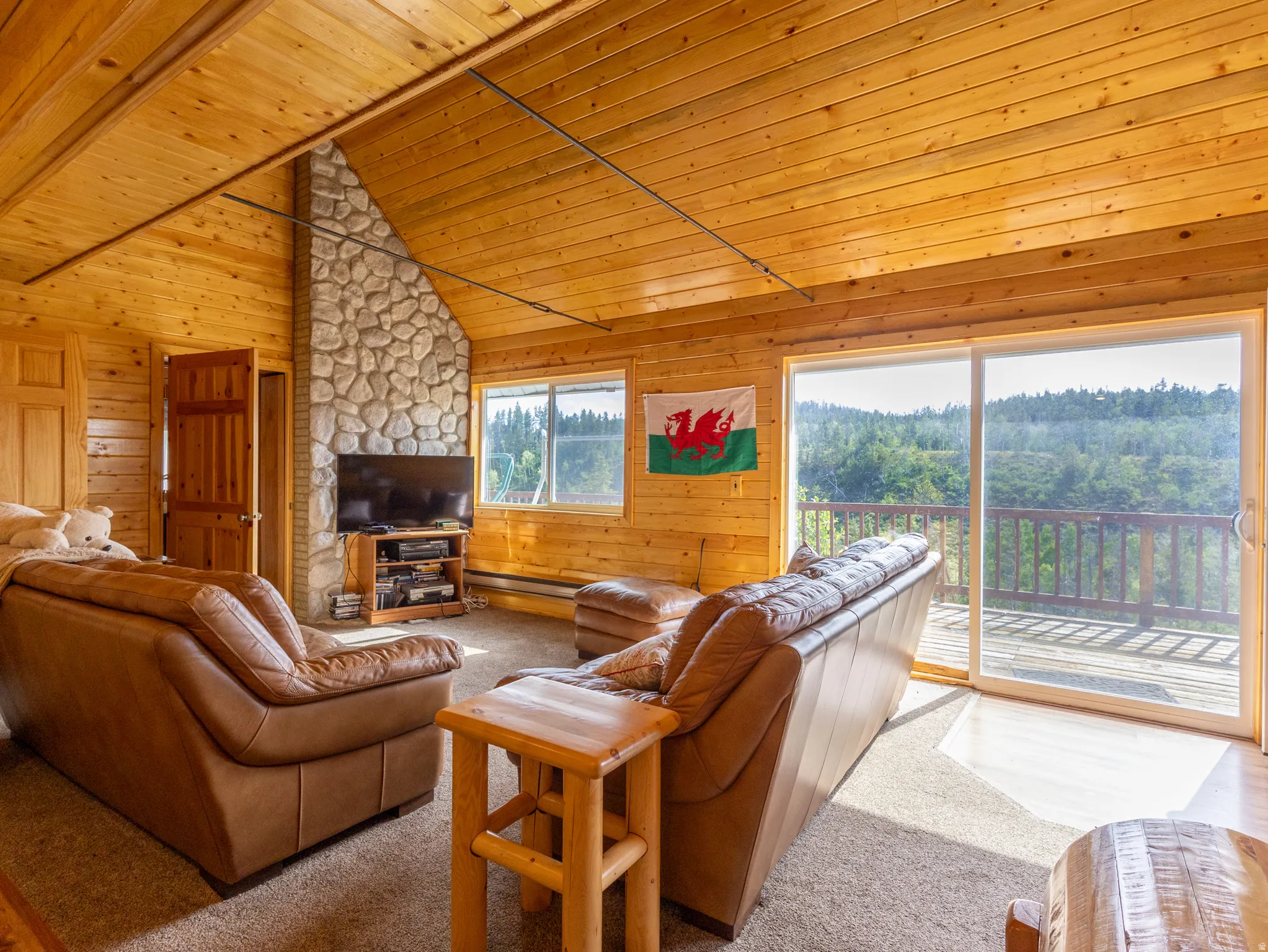 Interior living space featuring wood-paneled walls and ceiling, a stone-clad fireplace surround, and carpet flooring