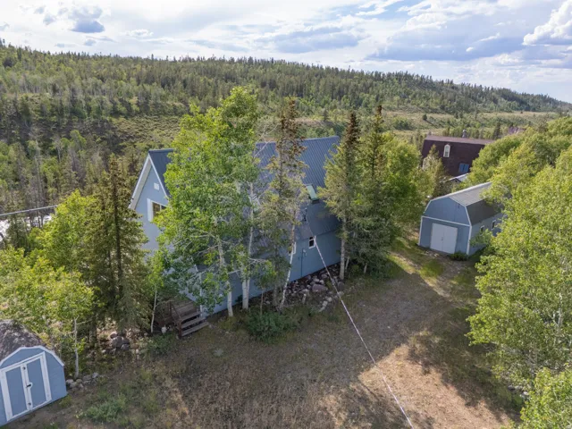 Light blue siding residence featuring a metal roof, multiple mature trees, a detached two-car garage, and an additional storage shed
