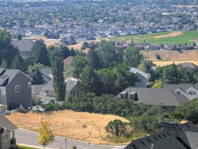Residential neighborhood featuring a variety of housing styles, mature trees, and natural landscaping