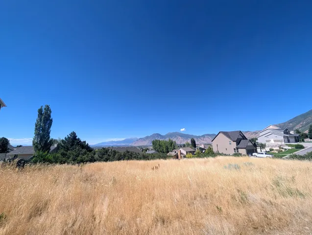 Expansive lot featuring mature, golden grasses, a clear blue sky, and distant mountain scenery