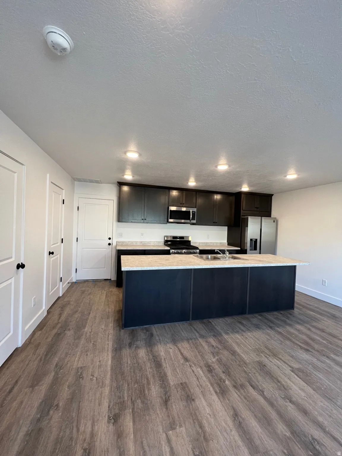 Open-concept kitchen featuring dark wood cabinetry, stainless steel appliances, a large center island with a sink, and wood-finish flooring