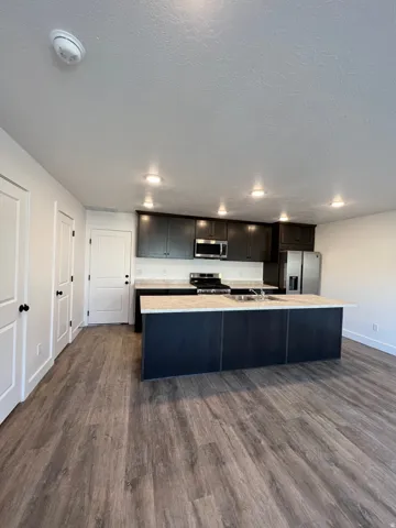 Open-concept kitchen featuring dark wood cabinetry, stainless steel appliances, a large center island with a sink, and wood-finish flooring