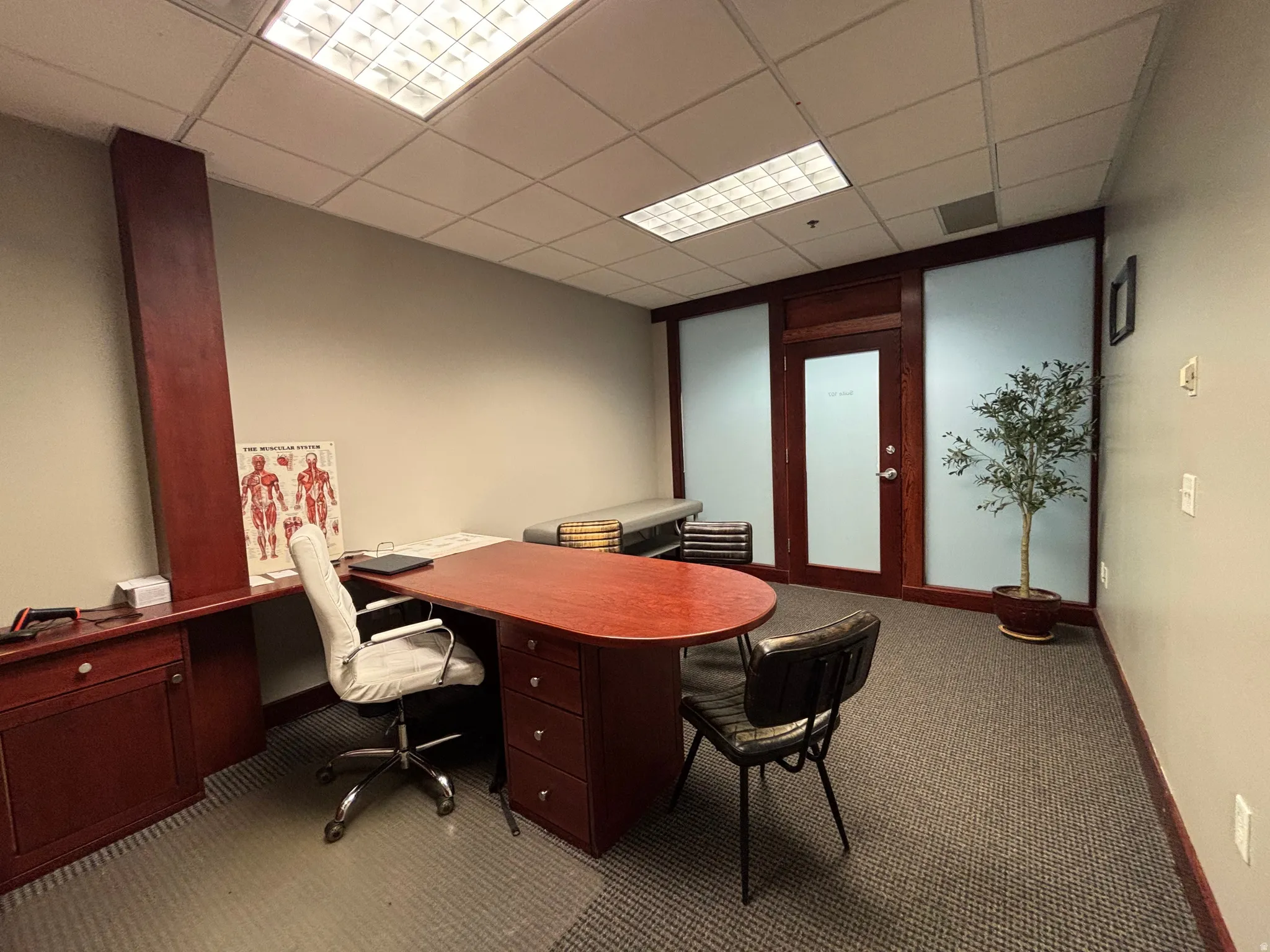 Commercial office space featuring gray wall-to-wall carpeting, wood-finish trim, and a frosted glass partition with a matching wood-finish door