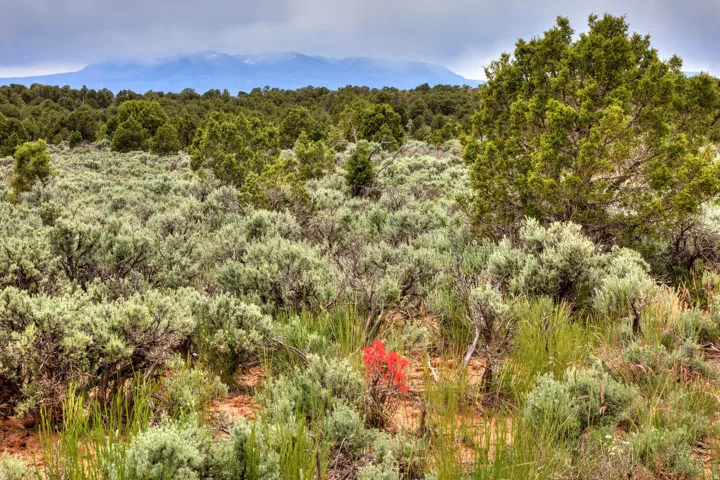 Unit 22, Monticello, Utah 84535