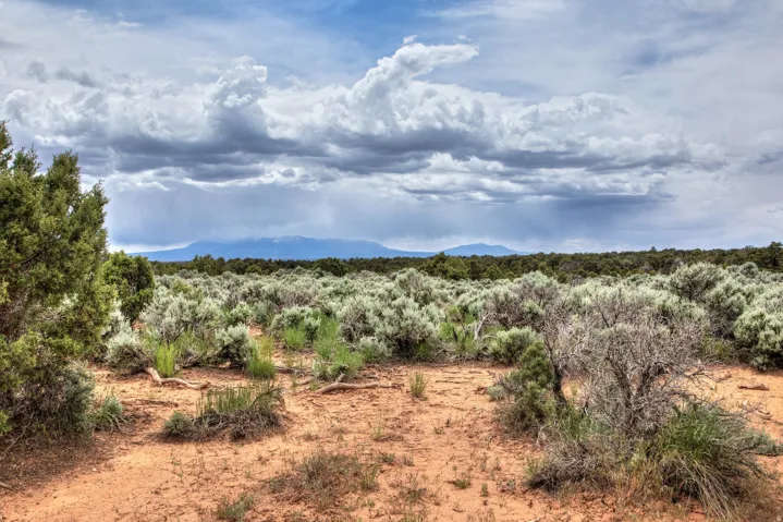 Unit 22, Monticello, Utah 84535