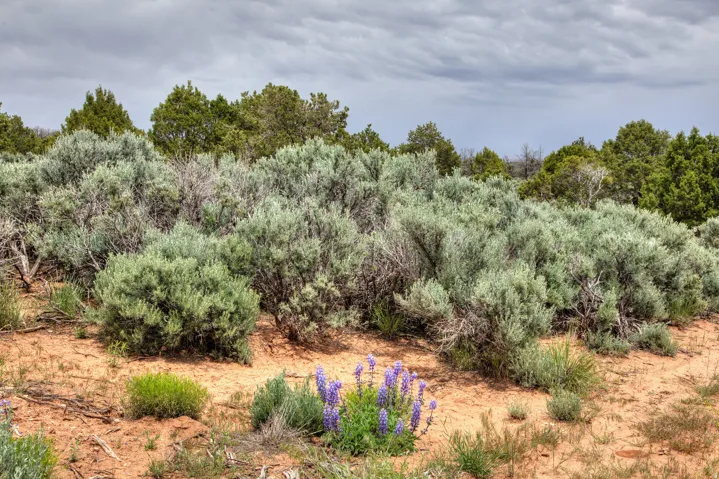 Unit 22, Monticello, Utah 84535