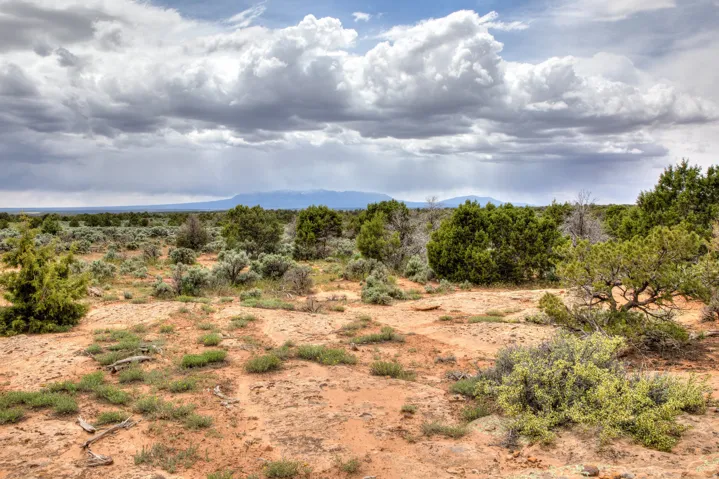 Unit 22, Monticello, Utah 84535