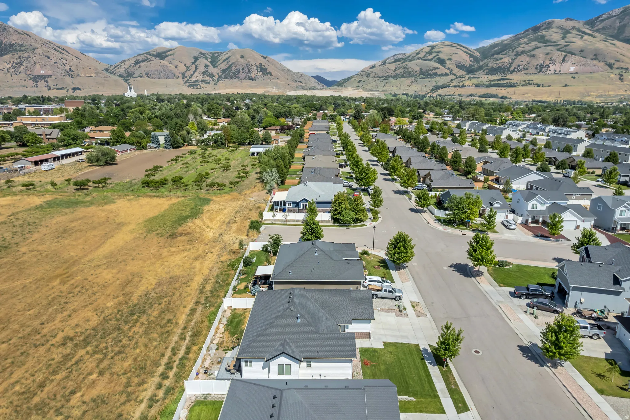 Residential neighborhood with mountain backdrop