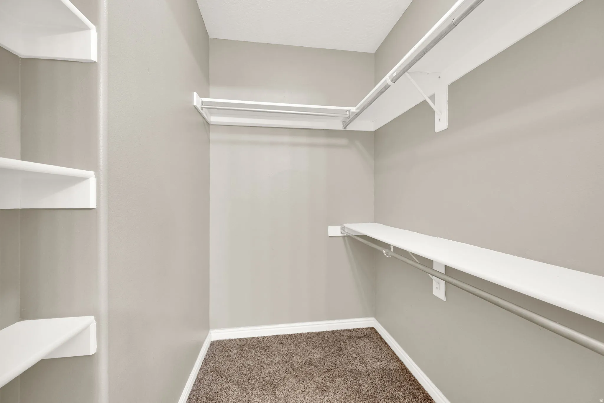 Walk-in closet featuring light gray walls, white shelving, hanging rods, white baseboards, and brown carpet flooring