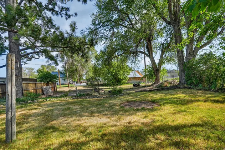 Expansive grassy yard featuring mature trees, a wooden privacy fence, and defined garden beds