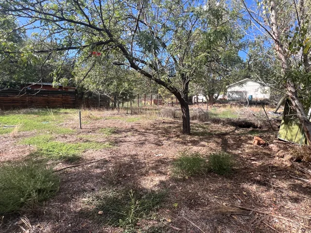 Expansive grounds with mature trees and natural landscaping