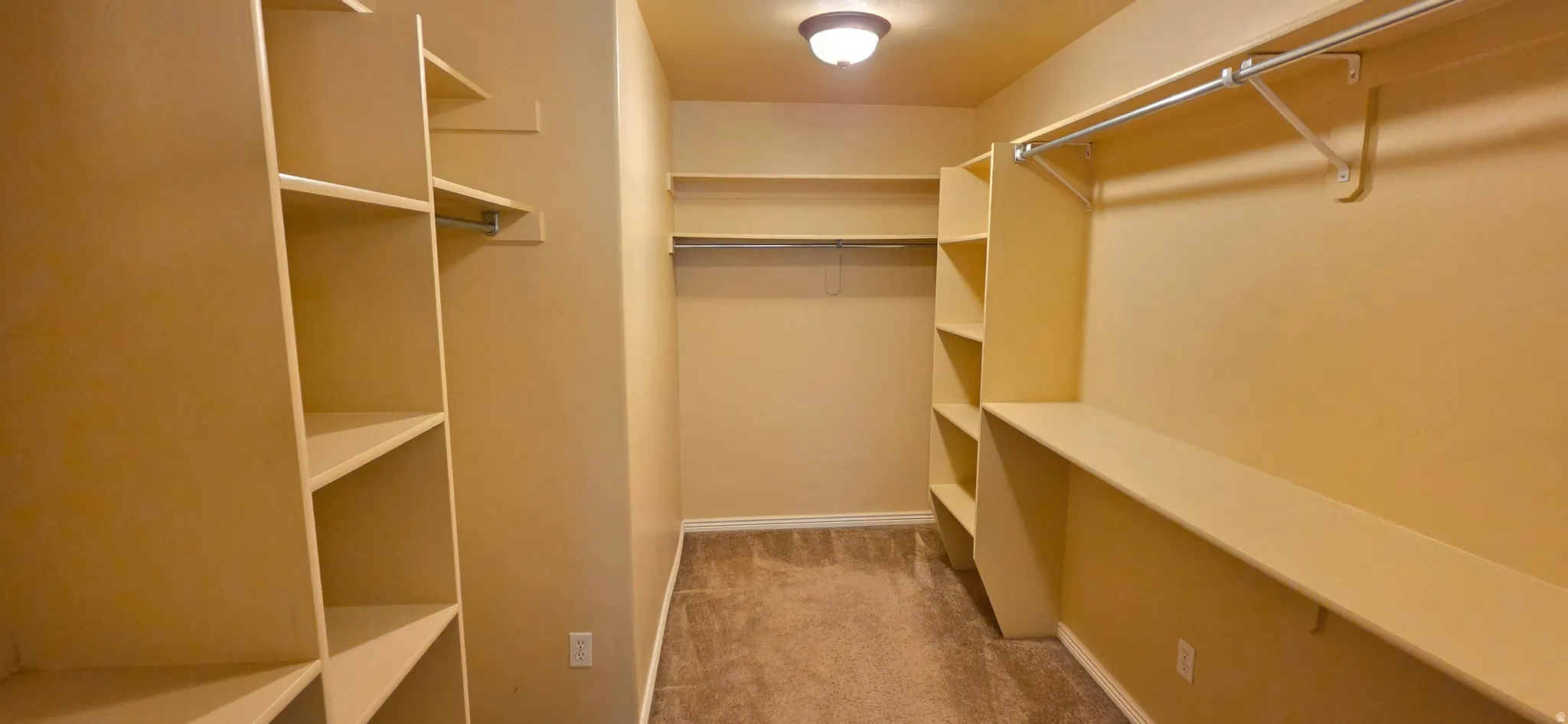Expansive walk-in closet featuring built-in shelving, multiple hanging rods, and plush carpeting