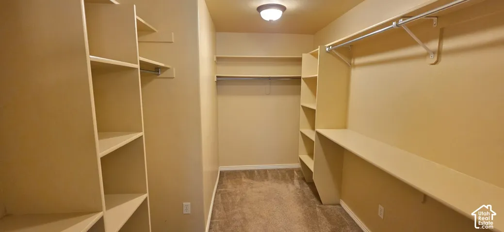 Expansive walk-in closet featuring built-in shelving, multiple hanging rods, and plush carpeting