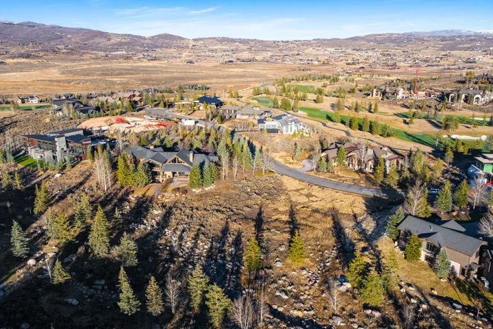 Expansive property featuring a diverse landscape with mature evergreen and deciduous trees, multiple custom homes, a paved roadway, and distant mountainous terrain
