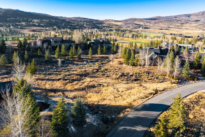 Paved road traversing a property with natural landscaping, mature evergreen trees, and distant hills